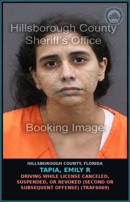 CCW arrest card for TAPIA, EMILY R in Hillsborough County: DRIVING WHILE LICENSE CANCELED, SUSPENDED, OR REVOKED (SECOND OR SUBSEQUENT OFFENSE) (TRAF6069)
