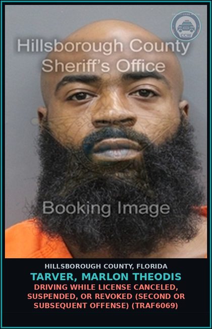 CCW arrest card for TARVER, MARLON THEODIS in Hillsborough County: DRIVING WHILE LICENSE CANCELED, SUSPENDED, OR REVOKED (SECOND OR SUBSEQUENT OFFENSE) (TRAF6069)