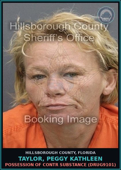 CCW arrest card for TAYLOR, PEGGY KATHLEEN in Hillsborough County: POSSESSION OF contr substance (DRUG9101)