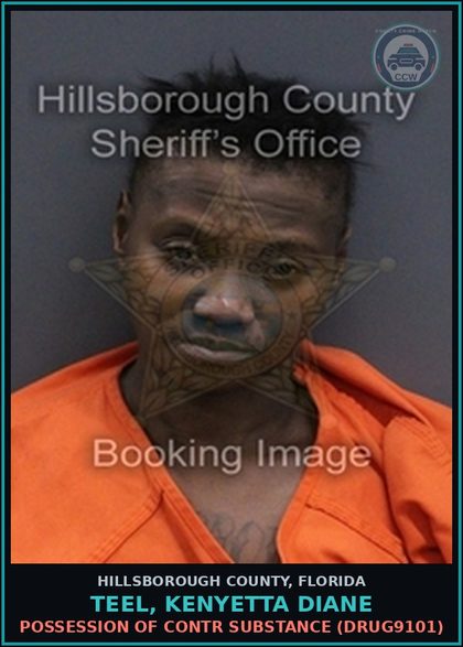 CCW arrest card for TEEL, KENYETTA DIANE in Hillsborough County: RESISTING OFFICER WITHOUT VIOLENCE (COPS1001)