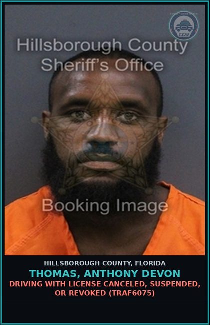 CCW arrest card for THOMAS, ANTHONY DEVON in Hillsborough County: DRIVING WITH LICENSE CANCELED, SUSPENDED, OR REVOKED (TRAF6075)