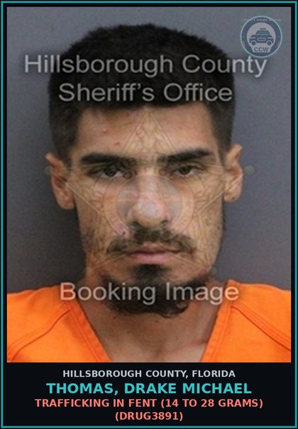 CCW arrest card for THOMAS, DRAKE MICHAEL in Hillsborough County: DELIVERY OF COCAINE WITHIN 1000 FEET OF A PUBLIC HOUSING FACILITY (DRUG1715)