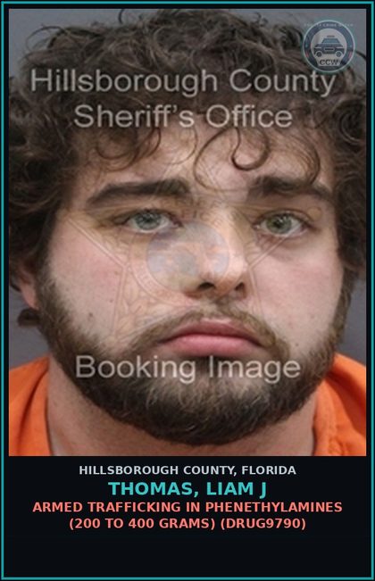 CCW arrest card for THOMAS, LIAM J in Hillsborough County: ARMED TRAFFICKING IN PHENETHYLAMINES (200 TO 400 GRAMS) (DRUG9790)