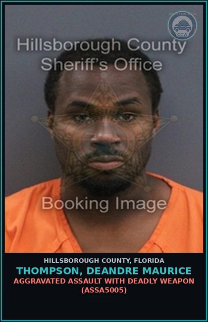 CCW arrest card for THOMPSON, DEANDRE MAURICE in Hillsborough County: FELONY BATTERY (BATT7014)