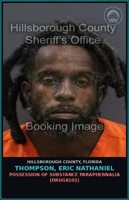 CCW arrest card for THOMPSON, ERIC NATHANIEL in Hillsborough County: RESISTING OFFICER WITHOUT VIOLENCE (COPS1001)