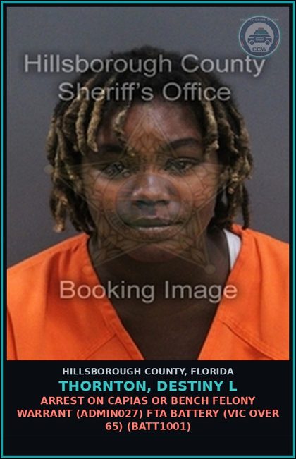 CCW arrest card for THORNTON, DESTINY L in Hillsborough County: ARREST ON CAPIAS OR BENCH FELONY WARRANT (ADMIN027) FTA BATTERY (VICTIM OVER 65) (BATT1001)