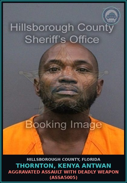 CCW arrest card for THORNTON, KENYA ANTWAN in Hillsborough County: AGGRAVATED ASSAULT WITH DEADLY WEAPON (ASSA5005)
