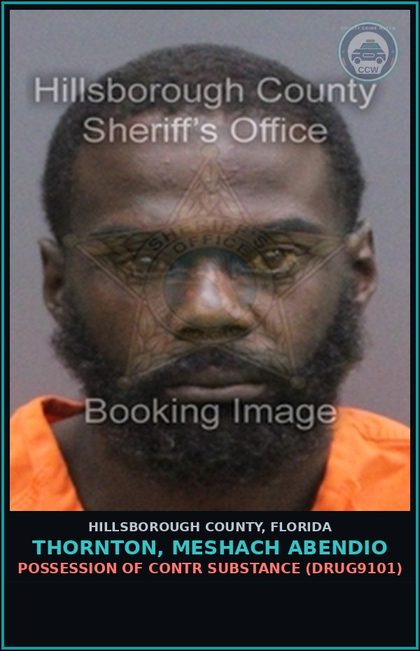 CCW arrest card for THORNTON, MESHACH ABENDIO in Hillsborough County: POSSESSION OF contr substance (DRUG9101)