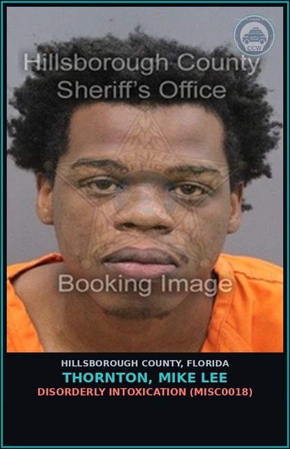 CCW arrest card for THORNTON, MIKE LEE in Hillsborough County: DISORDERLY INTOXICATION (MISC0018)