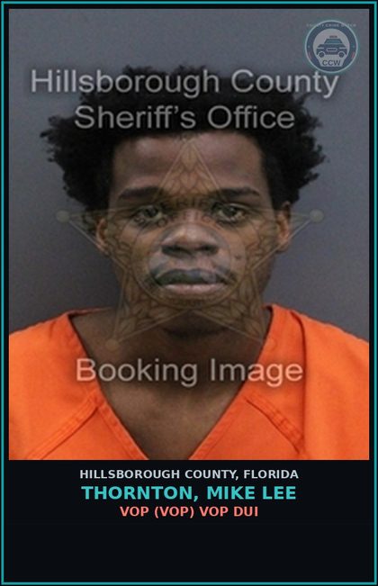 CCW arrest card for THORNTON, MIKE LEE in Hillsborough County: VOP (VOP) VOP DUI