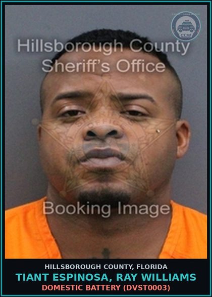 CCW arrest card for TIANT ESPINOSA, RAY WILLIAMS in Hillsborough County: DOMESTIC BATTERY (DVST0003)