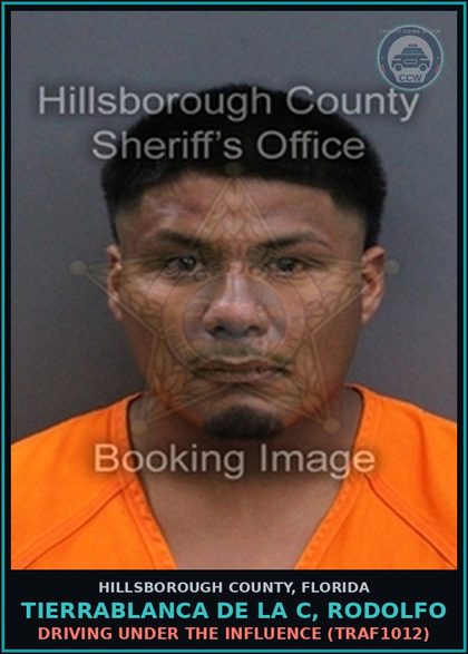 CCW arrest card for TIERRABLANCA DE LA C, RODOLFO in Hillsborough County: DRIVING UNDER THE INFLUENCE (TRAF1012)