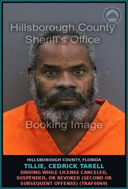 CCW arrest card for TILLIE, CEDRICK TARELL in Hillsborough County: DRIVING WHILE LICENSE CANCELED, SUSPENDED, OR REVOKED (SECOND OR SUBSEQUENT OFFENSE) (TRAF6069)
