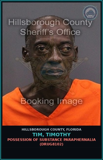 CCW arrest card for TIM, TIMOTHY in Hillsborough County: POSSESSION OF DRUG PARAPHERNALIA (DRUG8102)
