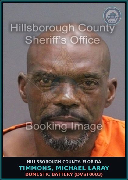 CCW arrest card for TIMMONS, MICHAEL LARAY in Hillsborough County: DOMESTIC BATTERY (DVST0003)