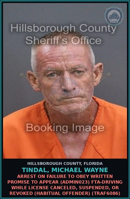 CCW arrest card for TINDAL, MICHAEL WAYNE in Hillsborough County: ARREST ON FAILURE TO OBEY WRITTEN PROMISE TO APPEAR (ADMIN023) FTA-DRIVING WHILE LICENSE CANCELED, SUSPENDED, OR REVOKED (HABITUAL OFFENDER) (TRAF6086)