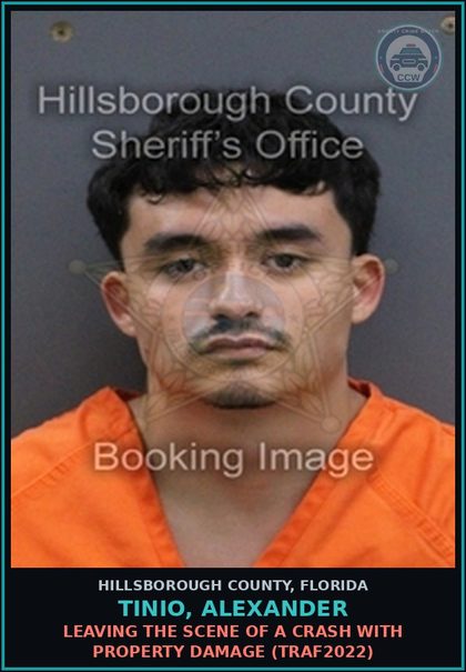 CCW arrest card for TINIO, ALEXANDER in Hillsborough County: LEAVING THE SCENE OF A CRASH WITH PROPERTY DAMAGE (TRAF2022)