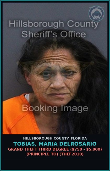 CCW arrest card for TOBIAS, MARIA DELROSARIO in Hillsborough County: GRAND THEFT THIRD DEGREE ($750 - $5,000) (PRINCIPLE TO) (THEF2010)