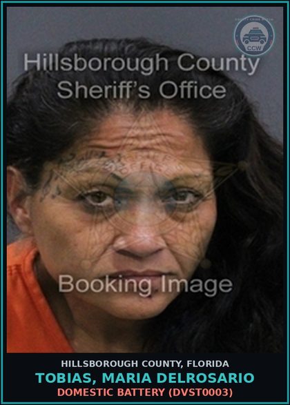 CCW arrest card for TOBIAS, MARIA DELROSARIO in Hillsborough County: DOMESTIC BATTERY (DVST0003)