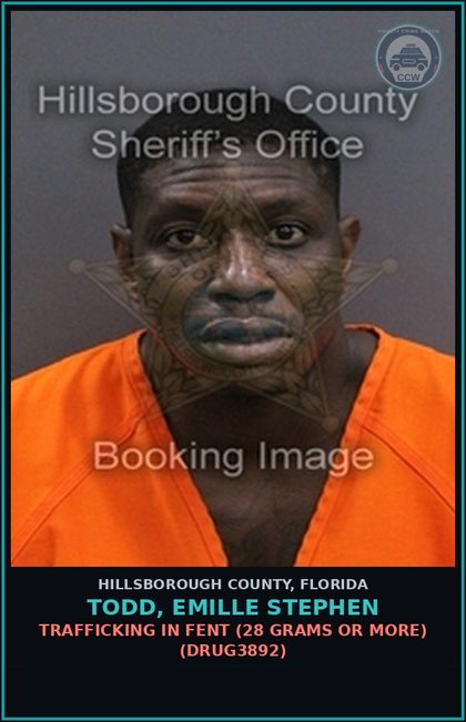 CCW arrest card for TODD, EMILLE STEPHEN in Hillsborough County: TRAFFICKING IN Fent (28 GRAMS OR MORE) (DRUG3892)