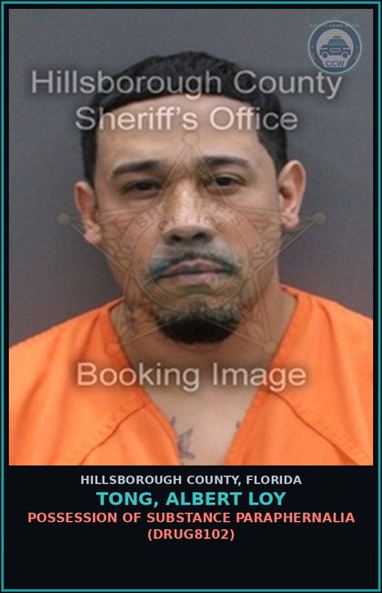 CCW arrest card for TONG, ALBERT LOY in Hillsborough County: POSSESSION OF DRUG PARAPHERNALIA (DRUG8102)