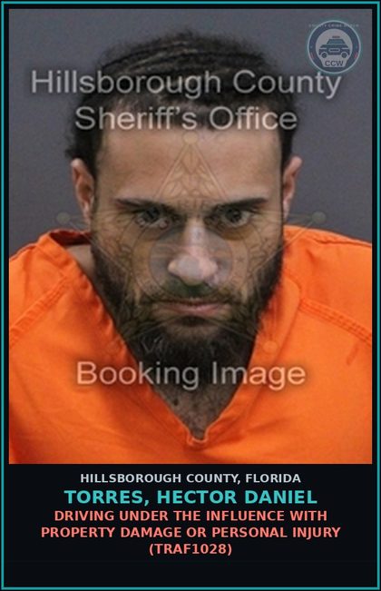 CCW arrest card for TORRES, HECTOR DANIEL in Hillsborough County: DRIVING UNDER THE INFLUENCE WITH PROPERTY DAMAGE OR PERSONAL INJURY (TRAF1028)
