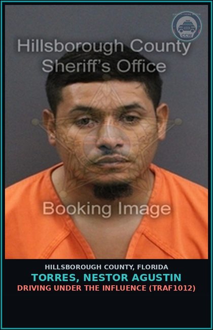 CCW arrest card for TORRES, NESTOR AGUSTIN in Hillsborough County: DRIVING UNDER THE INFLUENCE (TRAF1012)