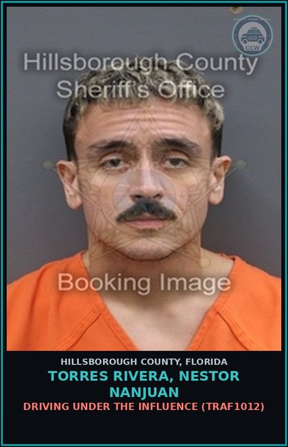 CCW arrest card for TORRES RIVERA, NESTOR NANJUAN in Hillsborough County: DRIVING UNDER THE INFLUENCE (TRAF1012)