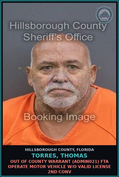 CCW arrest card for TORRES, THOMAS in Hillsborough County: OUT OF COUNTY WARRANT (ADMIN021) FTA OPERATE MOTOR VEHICLE W/O VALID LICENSE 2ND CONV