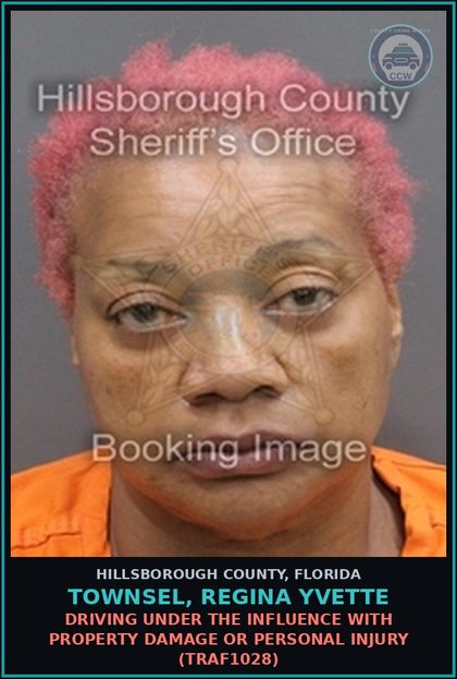CCW arrest card for TOWNSEL, REGINA YVETTE in Hillsborough County: DRIVING UNDER THE INFLUENCE WITH PROPERTY DAMAGE OR PERSONAL INJURY (TRAF1028)