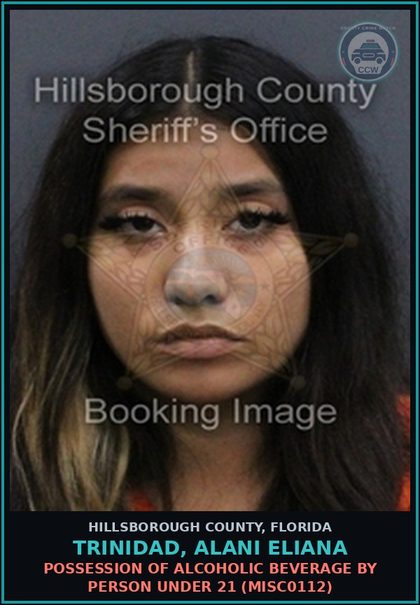 CCW arrest card for TRINIDAD, ALANI ELIANA in Hillsborough County: POSSESSION OF ALCOHOLIC BEVERAGE BY PERSON UNDER 21 (MISC0112)