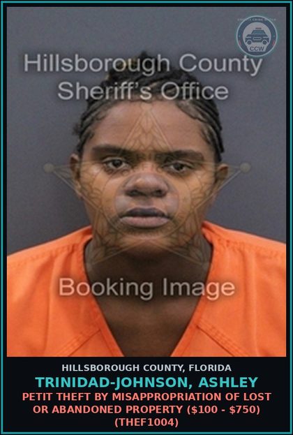 CCW arrest card for TRINIDAD-JOHNSON, ASHLEY in Hillsborough County: PETIT THEFT BY MISAPPROPRIATION OF LOST OR ABANDONED PROPERTY ($100 - $750) (THEF1004)