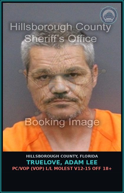CCW arrest card for TRUELOVE, ADAM LEE in Hillsborough County: PC/VOP (VOP) L/L MOLEST V12-15 OFF 18+