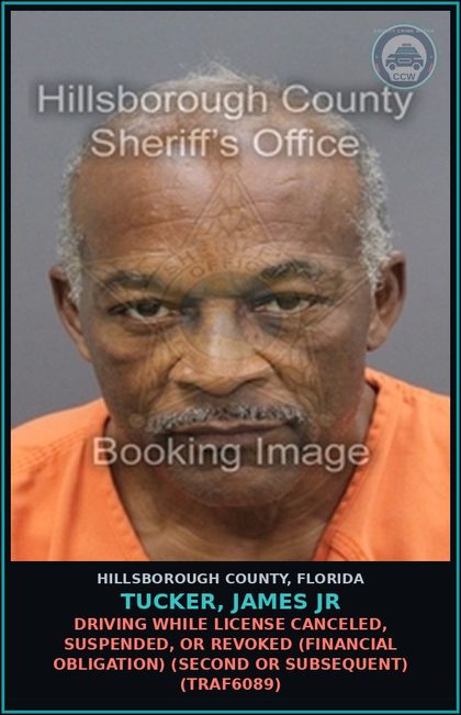 CCW arrest card for TUCKER, JAMES JR in Hillsborough County: DRIVING WHILE LICENSE CANCELED, SUSPENDED, OR REVOKED (FINANCIAL OBLIGATION) (SECOND OR SUBSEQUENT) (TRAF6089)