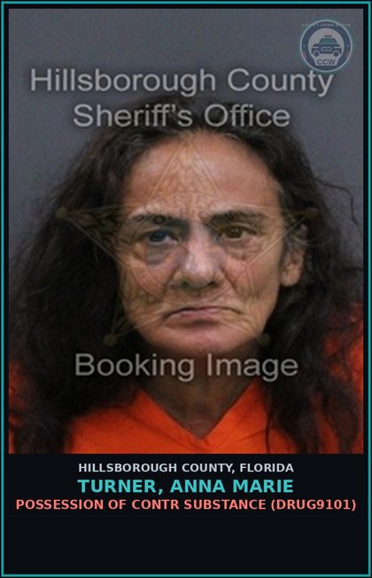 CCW arrest card for TURNER, ANNA MARIE in Hillsborough County: POSSESSION OF contr substance (DRUG9101)