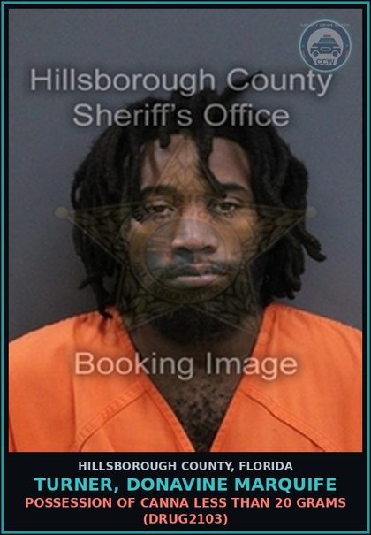 CCW arrest card for TURNER, DONAVINE MARQUIFE in Hillsborough County: ARREST ON FAILURE TO OBEY WRITTEN PROMISE TO APPEAR (ADMIN023) FTA NO DL NEVER HAD ONE ISSUED