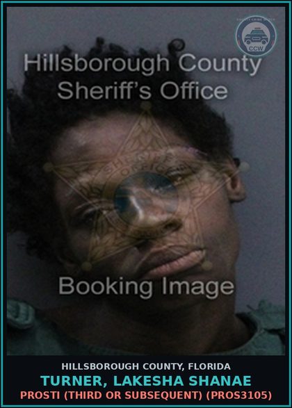 CCW arrest card for TURNER, LAKESHA SHANAE in Hillsborough County: Prosti (THIRD OR SUBSEQUENT) (PROS3105)