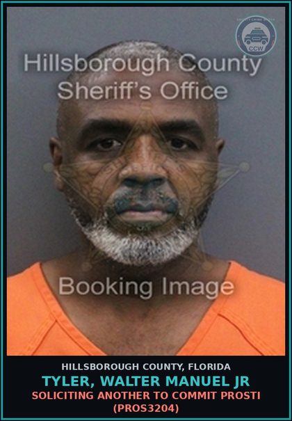 CCW arrest card for TYLER, WALTER MANUEL JR in Hillsborough County: SOLICITING ANOTHER TO COMMIT Prosti (PROS3204)
