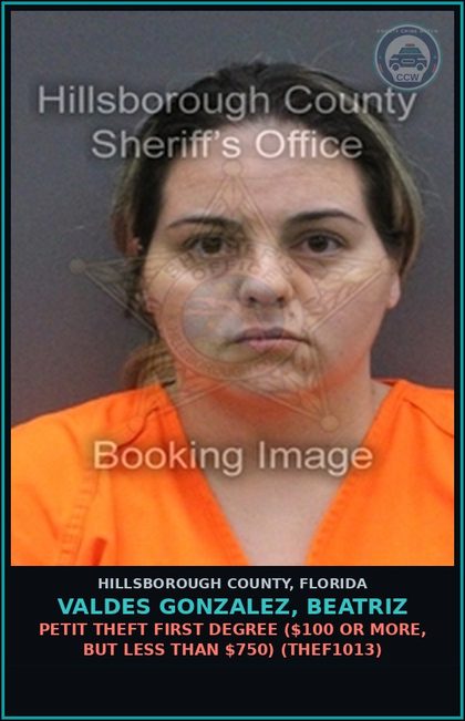 CCW arrest card for VALDES GONZALEZ, BEATRIZ in Hillsborough County: PETIT THEFT FIRST DEGREE ($100 OR MORE, BUT LESS THAN $750) (THEF1013)