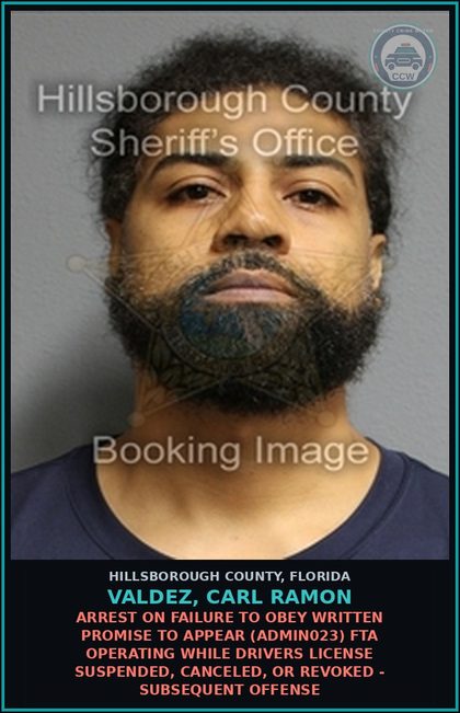 CCW arrest card for VALDEZ, CARL RAMON in Hillsborough County: ARREST ON FAILURE TO OBEY WRITTEN PROMISE TO APPEAR (ADMIN023) FTA OPERATING WHILE DRIVERS LICENSE SUSPENDED, CANCELED, OR REVOKED - SUBSEQUENT OFFENSE