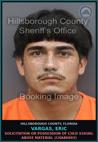 CCW arrest card for VARGAS, ERIC in Hillsborough County: SOLICITATION OR POSSESSION OF chld s3xual ABUSE MATERIAL (CHAB6003)