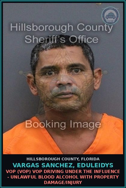 CCW arrest card for VARGAS SANCHEZ, EDULEIDYS in Hillsborough County: VOP (VOP) VOP DRIVING UNDER THE INFLUENCE - UNLAWFUL BLOOD ALCOHOL WITH PROPERTY DAMAGE/INJURY