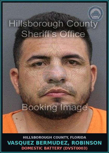 CCW arrest card for VASQUEZ BERMUDEZ, ROBINSON in Hillsborough County: DOMESTIC BATTERY (DVST0003)