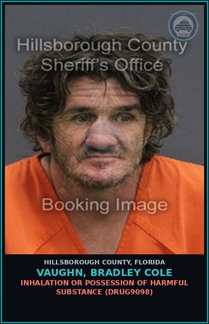 CCW arrest card for VAUGHN, BRADLEY COLE in Hillsborough County: INHALATION OR POSSESSION OF HARMFUL SUBSTANCE (DRUG9098)