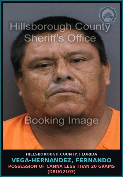 CCW arrest card for VEGA-HERNANDEZ, FERNANDO in Hillsborough County: NO VALID DRIVER'S LICENSE (3RD OR SUBSEQUENT OFFENSE) (TRAF5107)
