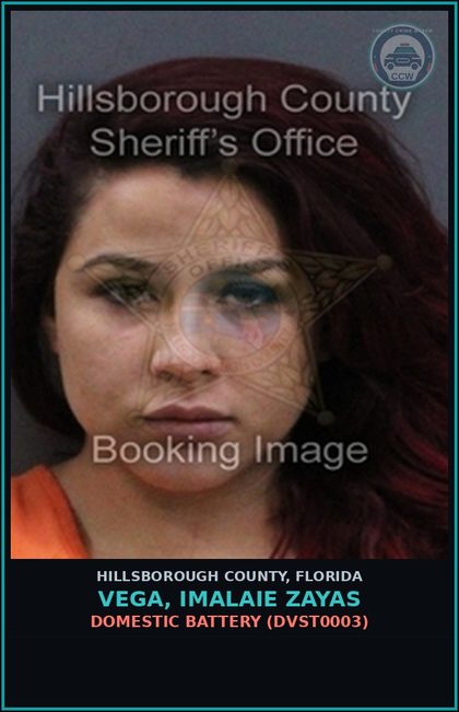 CCW arrest card for VEGA, IMALAIE ZAYAS in Hillsborough County: DOMESTIC BATTERY (DVST0003)