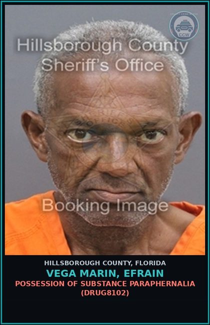 CCW arrest card for VEGA MARIN, EFRAIN in Hillsborough County: POSSESSION OF DRUG PARAPHERNALIA (DRUG8102)