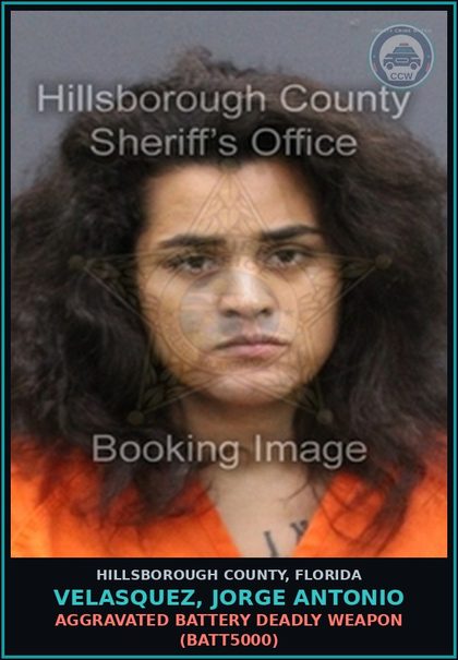 CCW arrest card for VELASQUEZ, JORGE ANTONIO in Hillsborough County: AGGRAVATED BATTERY DEADLY WEAPON (BATT5000)