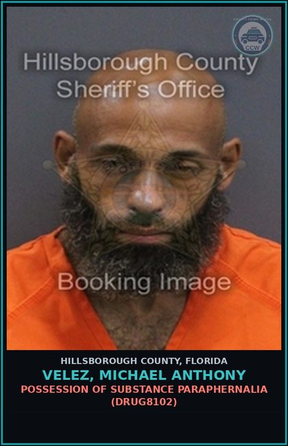CCW arrest card for VELEZ, MICHAEL ANTHONY in Hillsborough County: POSSESSION OF DRUG PARAPHERNALIA (DRUG8102)