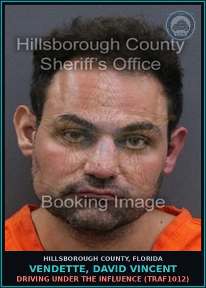 CCW arrest card for VENDETTE, DAVID VINCENT in Hillsborough County: DRIVING UNDER THE INFLUENCE (TRAF1012)